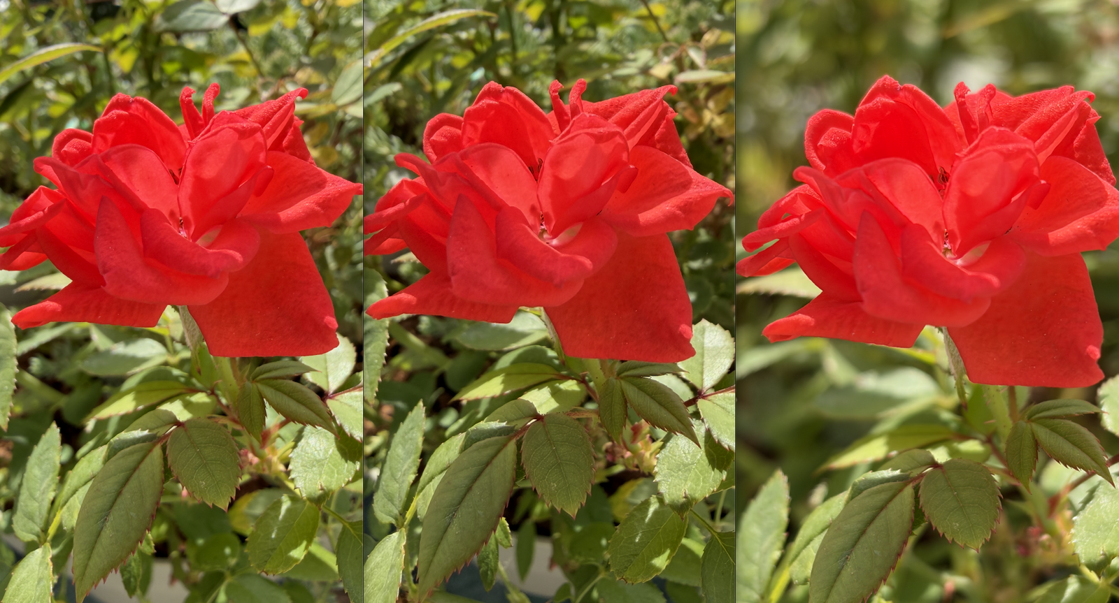 Apple iPhone 17 camera comparison